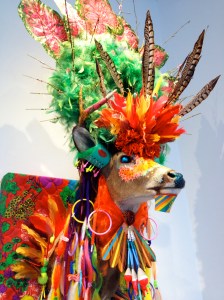 Jonathan Ferrara Gallery