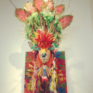 Jonathan Ferrara Gallery